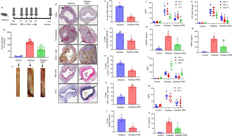 https://cdn.ncbi.nlm.nih.gov/pmc/blobs/e82b/8938517/6d0a48e6140a/41467_2022_29233_Fig3_HTML.jpg