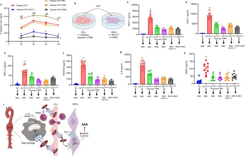 https://cdn.ncbi.nlm.nih.gov/pmc/blobs/e82b/8938517/c927257665d3/41467_2022_29233_Fig6_HTML.jpg