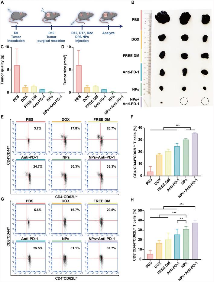 https://cdn.ncbi.nlm.nih.gov/pmc/blobs/e82d/12220491/59164b444dff/12951_2025_3568_Fig7_HTML.jpg