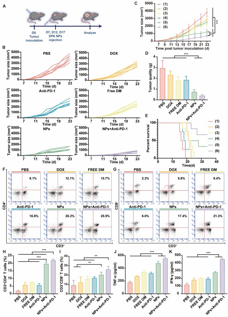 https://cdn.ncbi.nlm.nih.gov/pmc/blobs/e82d/12220491/85fbe87a4b18/12951_2025_3568_Fig6_HTML.jpg