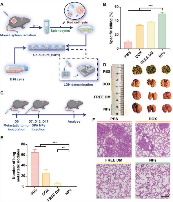 https://cdn.ncbi.nlm.nih.gov/pmc/blobs/e82d/12220491/acbb34ebd139/12951_2025_3568_Fig5_HTML.jpg