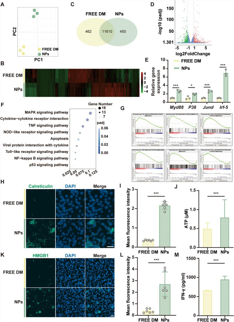https://cdn.ncbi.nlm.nih.gov/pmc/blobs/e82d/12220491/fdaa9415bb09/12951_2025_3568_Fig3_HTML.jpg