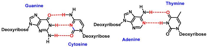 https://cdn.ncbi.nlm.nih.gov/pmc/blobs/e82e/10607741/59cb23fa2373/ijms-24-15240-g002.jpg