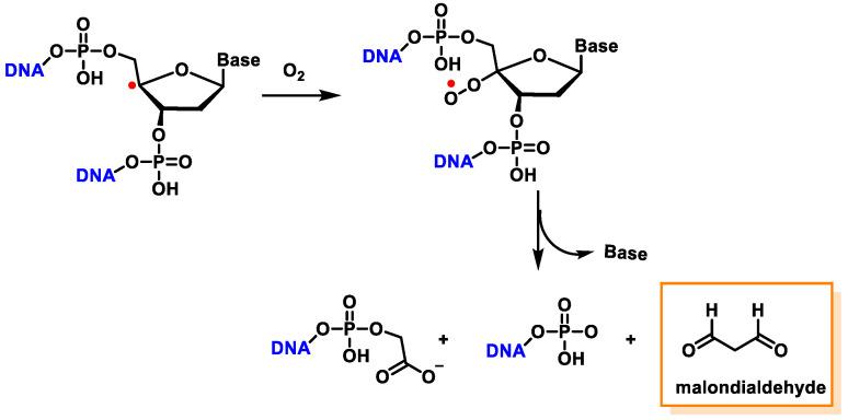 https://cdn.ncbi.nlm.nih.gov/pmc/blobs/e82e/10607741/75917b3084eb/ijms-24-15240-g040.jpg