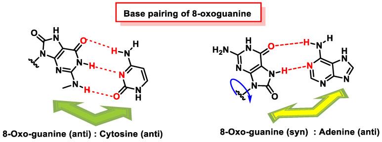 https://cdn.ncbi.nlm.nih.gov/pmc/blobs/e82e/10607741/878bb0d22b6e/ijms-24-15240-g048.jpg
