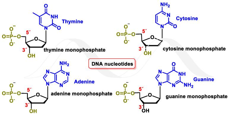 https://cdn.ncbi.nlm.nih.gov/pmc/blobs/e82e/10607741/b815a094bf69/ijms-24-15240-g001.jpg