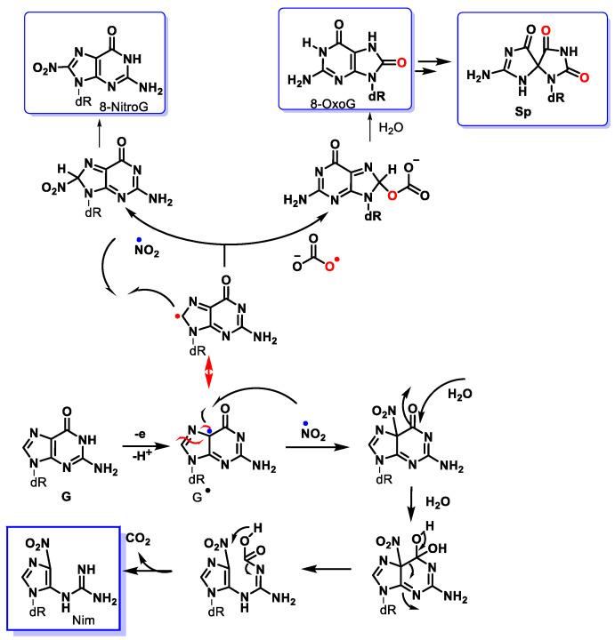 https://cdn.ncbi.nlm.nih.gov/pmc/blobs/e82e/10607741/cc92200abd32/ijms-24-15240-g031.jpg
