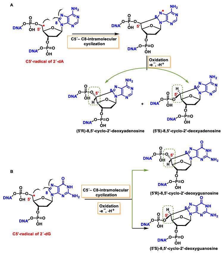https://cdn.ncbi.nlm.nih.gov/pmc/blobs/e82e/10607741/df2533af3f6a/ijms-24-15240-g044.jpg