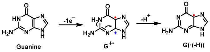 https://cdn.ncbi.nlm.nih.gov/pmc/blobs/e82e/10607741/f0f414871e5f/ijms-24-15240-g017.jpg