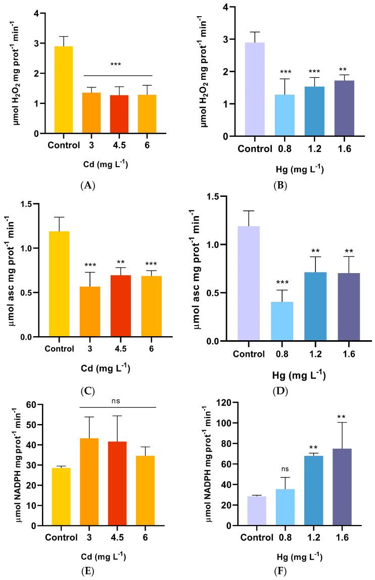 https://cdn.ncbi.nlm.nih.gov/pmc/blobs/e82e/10891624/1c26ed1f6c40/plants-13-00464-g002.jpg