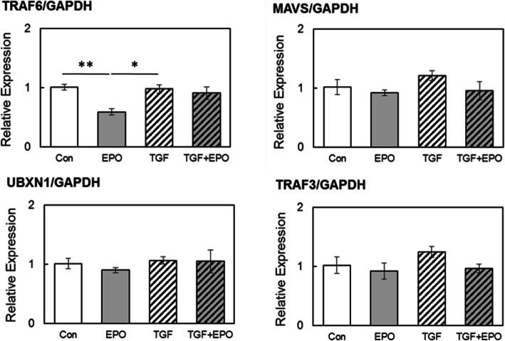 https://cdn.ncbi.nlm.nih.gov/pmc/blobs/e82f/8167964/c109a2d891bf/12882_2021_2411_Fig3_HTML.jpg