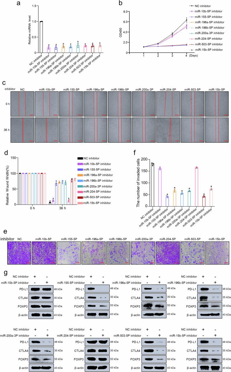 https://cdn.ncbi.nlm.nih.gov/pmc/blobs/e831/11227553/7d96caebb4f0/42003_2024_6488_Fig10_HTML.jpg