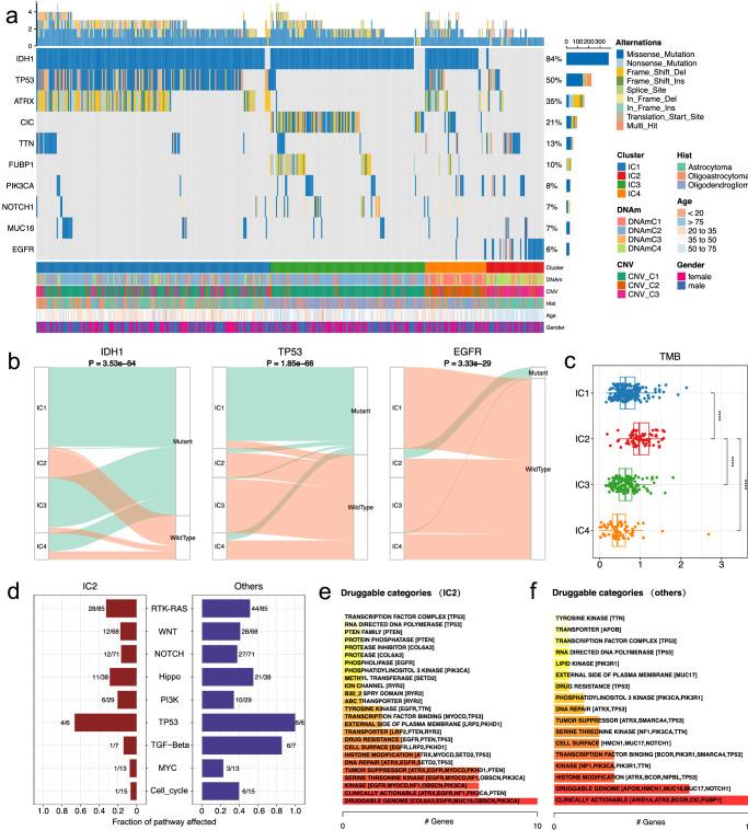 https://cdn.ncbi.nlm.nih.gov/pmc/blobs/e831/11227553/fb3c5d74a5e9/42003_2024_6488_Fig4_HTML.jpg