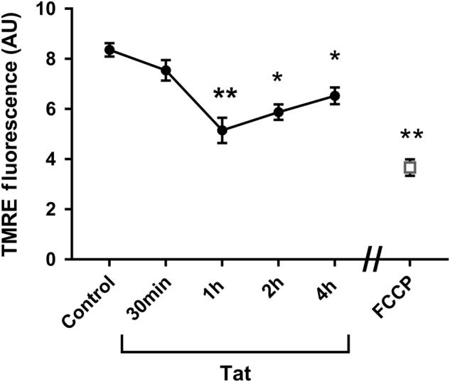 https://cdn.ncbi.nlm.nih.gov/pmc/blobs/e831/5841280/85212c485b2b/41420_2017_13_Fig3_HTML.jpg