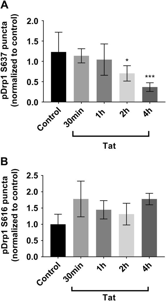 https://cdn.ncbi.nlm.nih.gov/pmc/blobs/e831/5841280/ecc84f1b7948/41420_2017_13_Fig7_HTML.jpg
