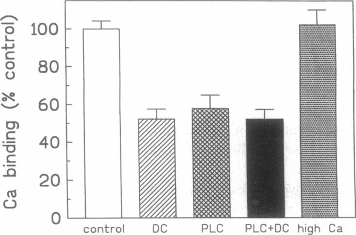 https://cdn.ncbi.nlm.nih.gov/pmc/blobs/e835/1225201/4a8f849809a9/biophysj00047-0230-a.jpg