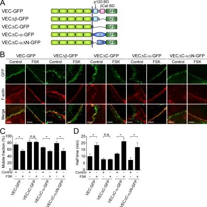 https://cdn.ncbi.nlm.nih.gov/pmc/blobs/e836/2820423/236670f9b402/zmk0041093530006.jpg