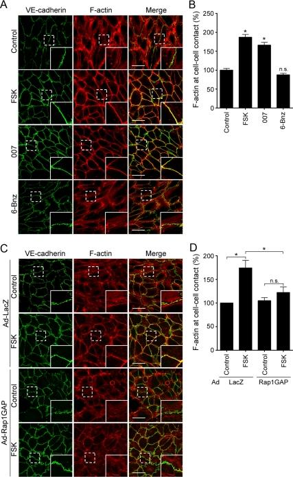 https://cdn.ncbi.nlm.nih.gov/pmc/blobs/e836/2820423/3b2a7f7f4025/zmk0041093530002.jpg