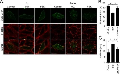 https://cdn.ncbi.nlm.nih.gov/pmc/blobs/e836/2820423/c59ab907bc14/zmk0041093530003.jpg