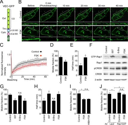 https://cdn.ncbi.nlm.nih.gov/pmc/blobs/e836/2820423/dfb661954160/zmk0041093530001.jpg