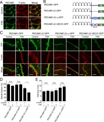 https://cdn.ncbi.nlm.nih.gov/pmc/blobs/e836/2820423/f40cbc9f4281/zmk0041093530007.jpg