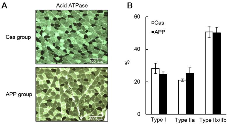 https://cdn.ncbi.nlm.nih.gov/pmc/blobs/e836/8837972/4f0cb0896154/nutrients-14-00547-g004.jpg
