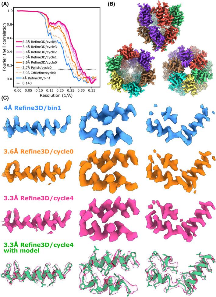 https://cdn.ncbi.nlm.nih.gov/pmc/blobs/e838/11532982/7276485345fa/FEB4-14-1788-g001.jpg