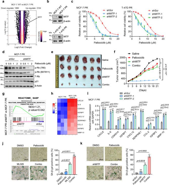 https://cdn.ncbi.nlm.nih.gov/pmc/blobs/e839/11222436/71edd44aefb3/41467_2024_49875_Fig2_HTML.jpg