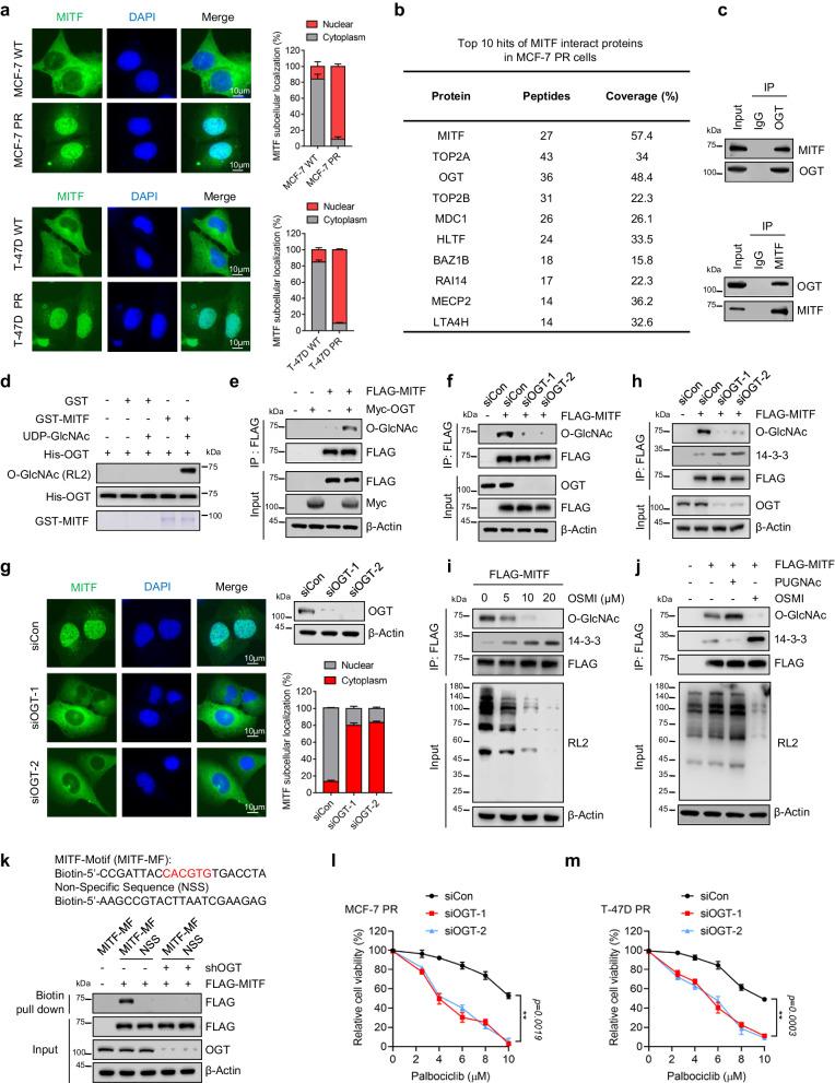 https://cdn.ncbi.nlm.nih.gov/pmc/blobs/e839/11222436/8c10e51a0bd1/41467_2024_49875_Fig3_HTML.jpg