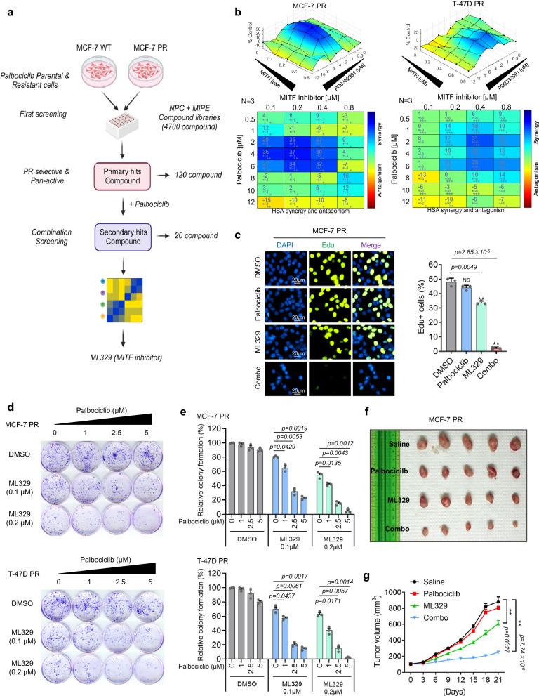 https://cdn.ncbi.nlm.nih.gov/pmc/blobs/e839/11222436/a8a03e635061/41467_2024_49875_Fig1_HTML.jpg