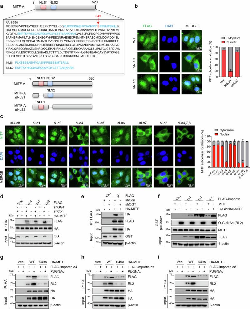 https://cdn.ncbi.nlm.nih.gov/pmc/blobs/e839/11222436/b619253e8b6c/41467_2024_49875_Fig5_HTML.jpg