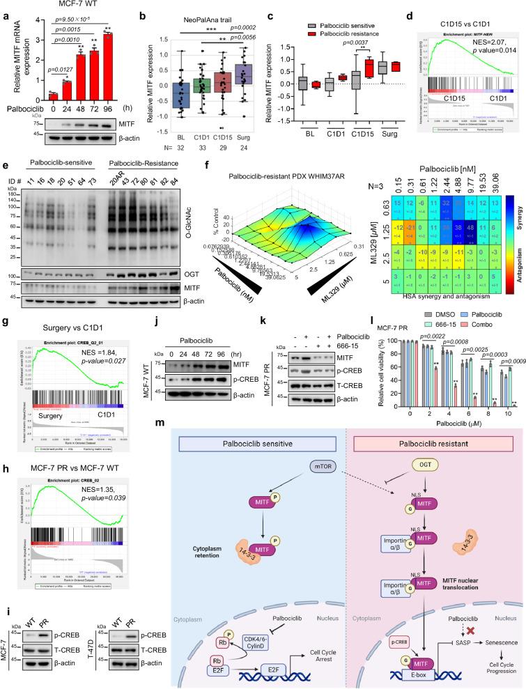 https://cdn.ncbi.nlm.nih.gov/pmc/blobs/e839/11222436/dcb3d3adc6d2/41467_2024_49875_Fig7_HTML.jpg