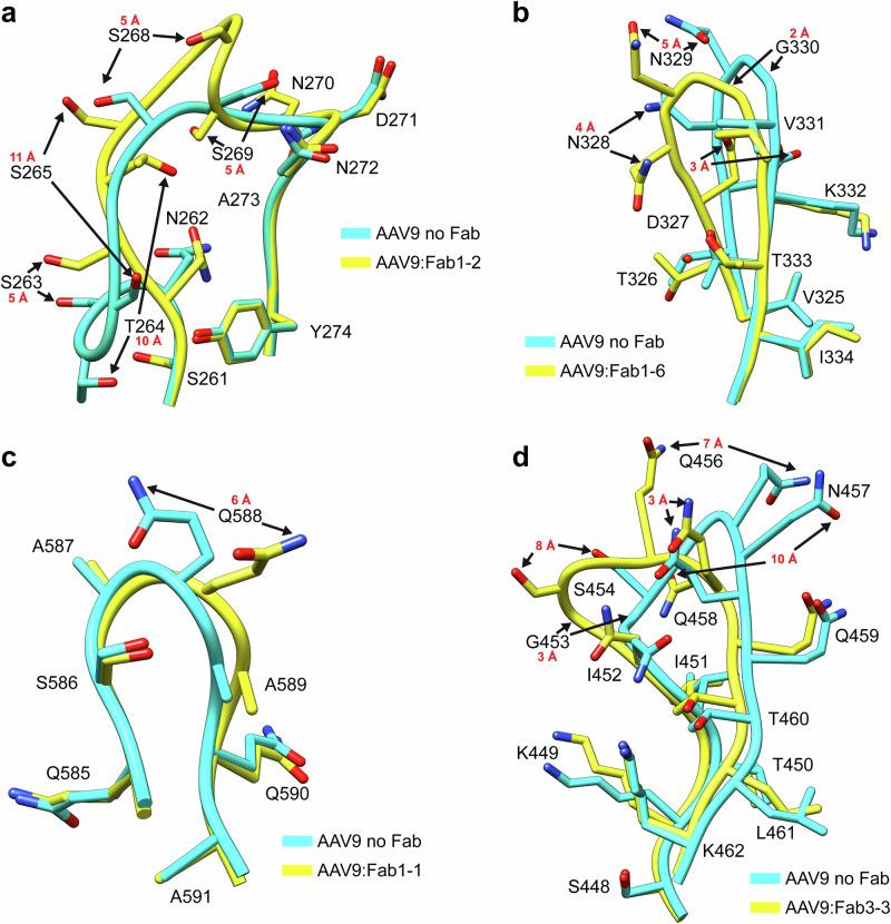 https://cdn.ncbi.nlm.nih.gov/pmc/blobs/e839/12009303/06496e1849b2/41467_2025_59088_Fig6_HTML.jpg