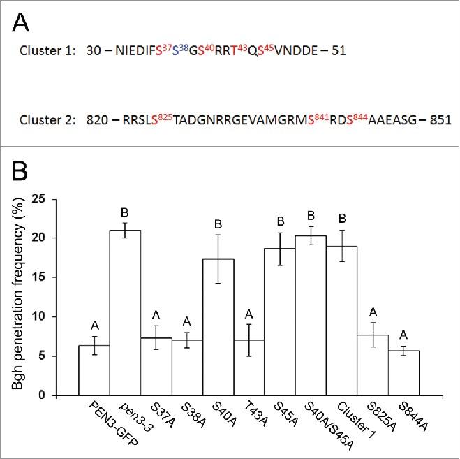 https://cdn.ncbi.nlm.nih.gov/pmc/blobs/e839/5647949/c1f4b92ff3e8/kpsb-12-10-1379644-g001.jpg