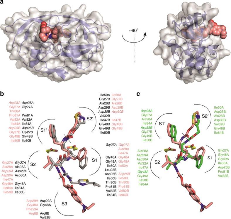 https://cdn.ncbi.nlm.nih.gov/pmc/blobs/e83b/4366505/ba4ee55276ff/ncomms7461-f2.jpg