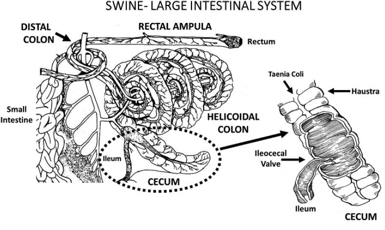 https://cdn.ncbi.nlm.nih.gov/pmc/blobs/e83c/9550523/96fdd459d1af/gr2.jpg