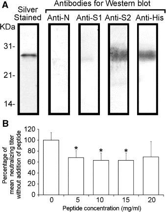 https://cdn.ncbi.nlm.nih.gov/pmc/blobs/e83d/7163956/4c4cf65e2a6e/FEB2-580-5612-g005.jpg