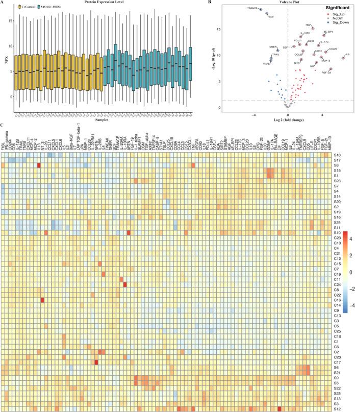 https://cdn.ncbi.nlm.nih.gov/pmc/blobs/e83e/10629264/a817cafa3960/pr3c00576_0001.jpg