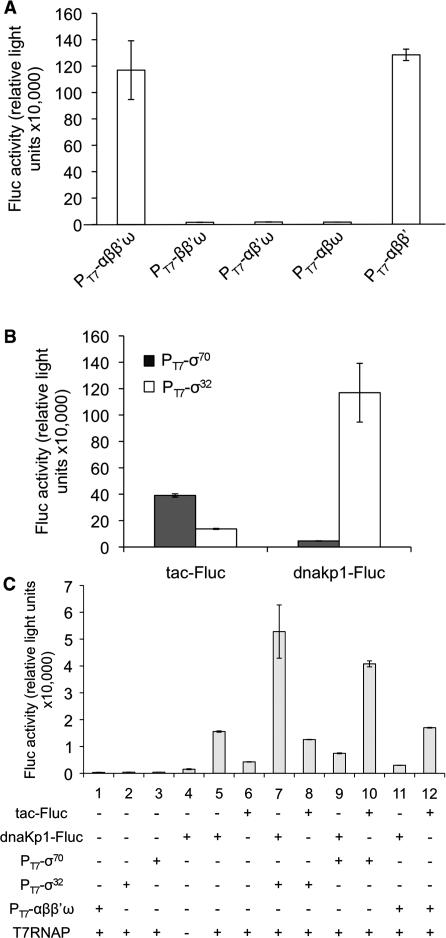 https://cdn.ncbi.nlm.nih.gov/pmc/blobs/e83e/2910072/521c31efb0af/gkq377f3.jpg