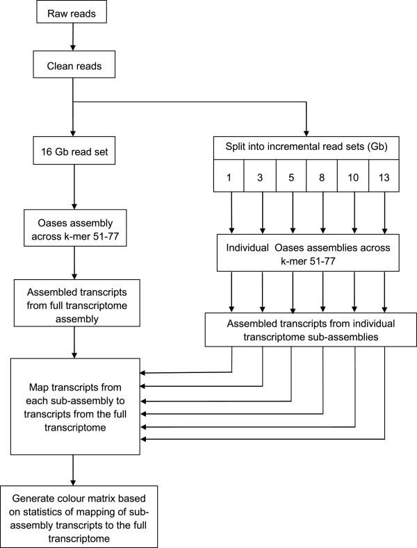 https://cdn.ncbi.nlm.nih.gov/pmc/blobs/e840/3926681/8e8e5459788b/1756-0500-7-69-3.jpg