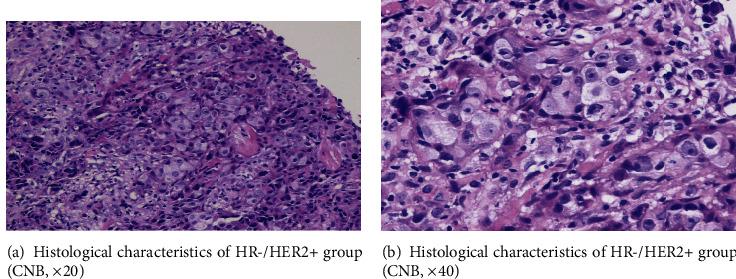 https://cdn.ncbi.nlm.nih.gov/pmc/blobs/e840/8604609/47db6a9804e8/ACP2021-3037993.005.jpg