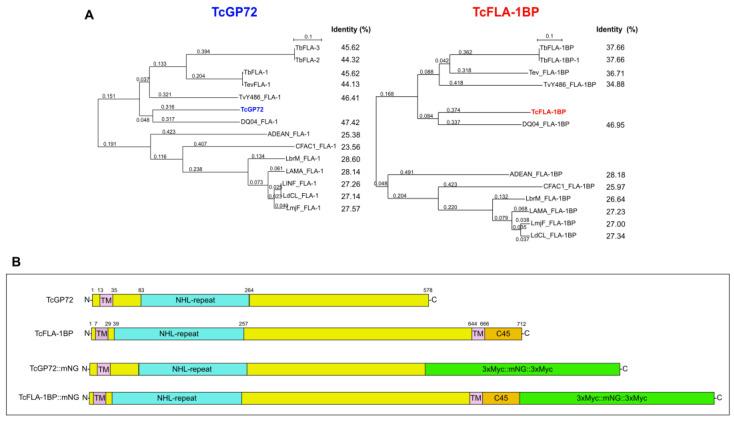 https://cdn.ncbi.nlm.nih.gov/pmc/blobs/e843/10675206/a241bf2a6107/pathogens-12-01367-g001.jpg