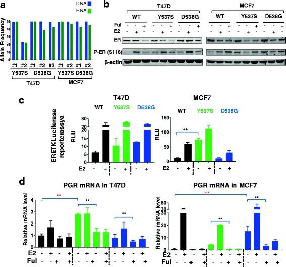 https://cdn.ncbi.nlm.nih.gov/pmc/blobs/e845/5442865/d1bcf9b13a51/13058_2017_851_Fig1_HTML.jpg
