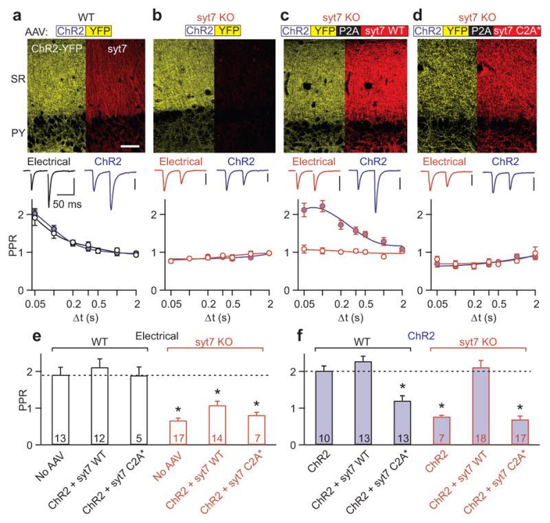 https://cdn.ncbi.nlm.nih.gov/pmc/blobs/e846/4729191/9817099fdc78/nihms742788f4.jpg