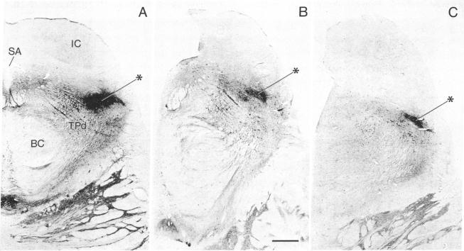 https://cdn.ncbi.nlm.nih.gov/pmc/blobs/e84a/298986/d7c40f512424/pnas00331-0476-a.jpg