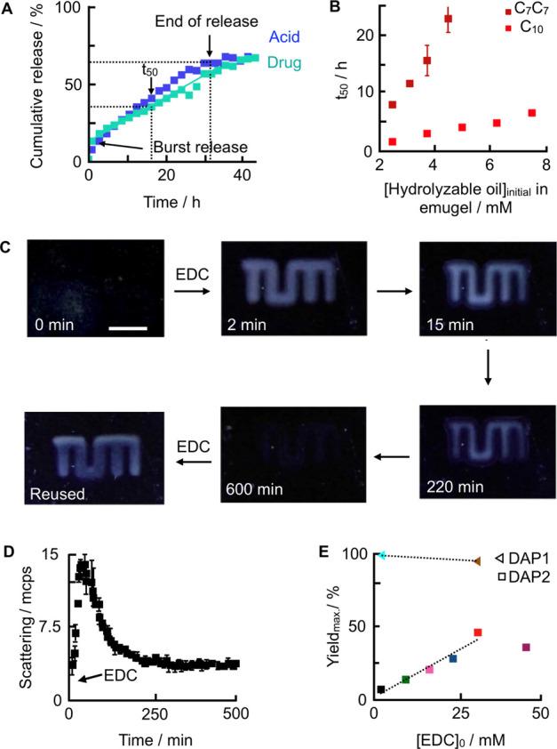 https://cdn.ncbi.nlm.nih.gov/pmc/blobs/e84c/10226104/c2ec19968571/mr2c00244_0006.jpg