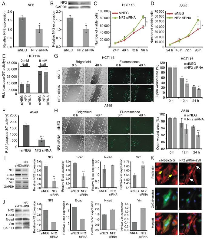 https://cdn.ncbi.nlm.nih.gov/pmc/blobs/e84f/6412542/afeb047e3844/OR-41-04-2103-g05.jpg