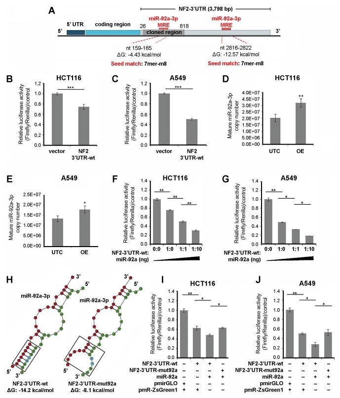 https://cdn.ncbi.nlm.nih.gov/pmc/blobs/e84f/6412542/ec8db2419c3d/OR-41-04-2103-g00.jpg