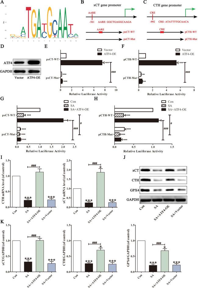 https://cdn.ncbi.nlm.nih.gov/pmc/blobs/e850/11706965/185b26ec1c92/41598_2024_79723_Fig5_HTML.jpg
