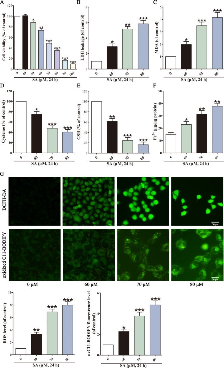 https://cdn.ncbi.nlm.nih.gov/pmc/blobs/e850/11706965/2035588fc116/41598_2024_79723_Fig2_HTML.jpg